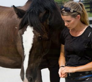 Horse Class Horse Riding Image