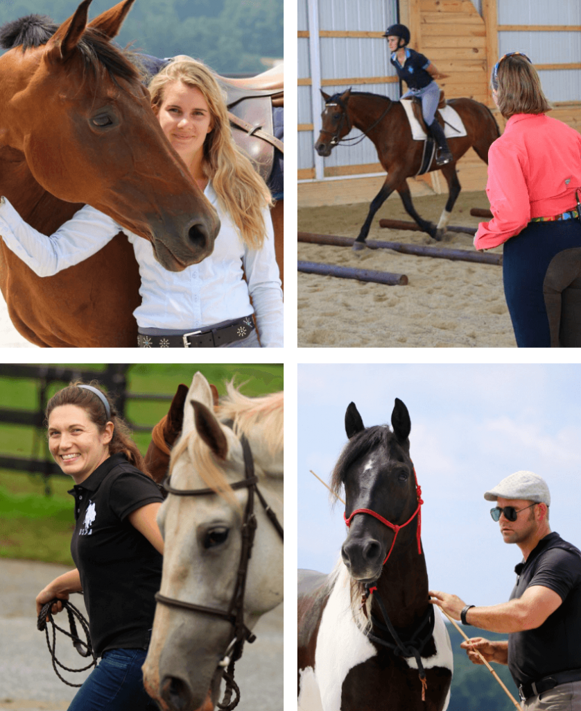 Horse Class Horse Riding Image