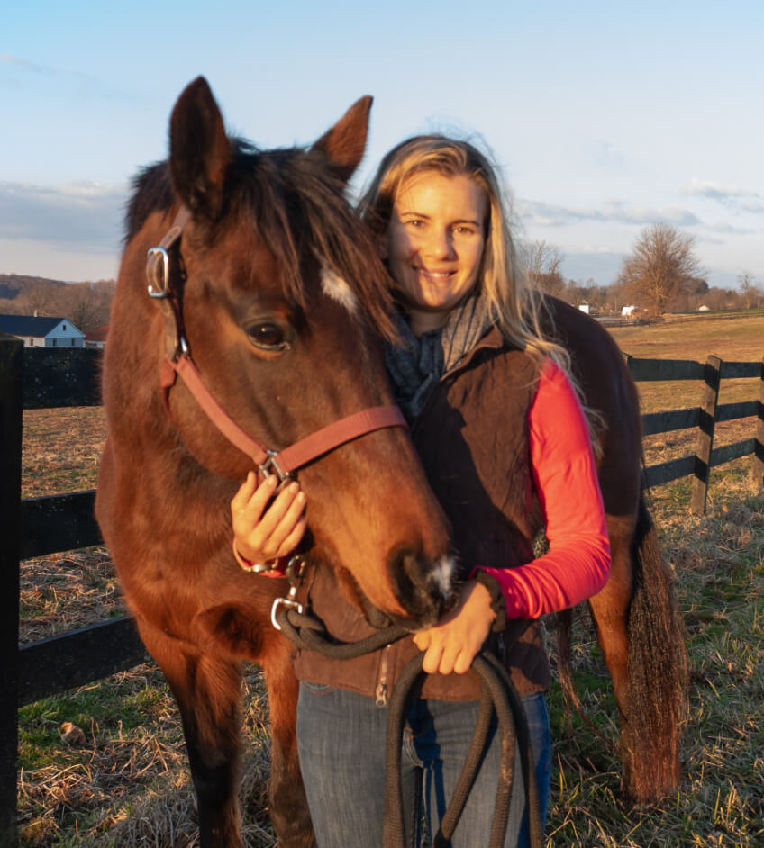 Horse Class Horse Riding Image