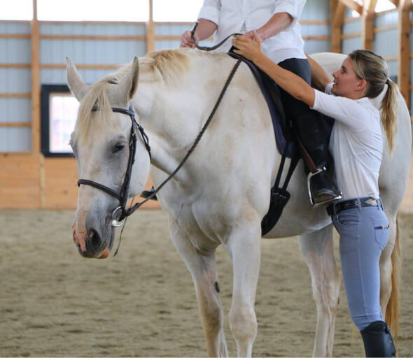 Horse Class Horse Riding Image