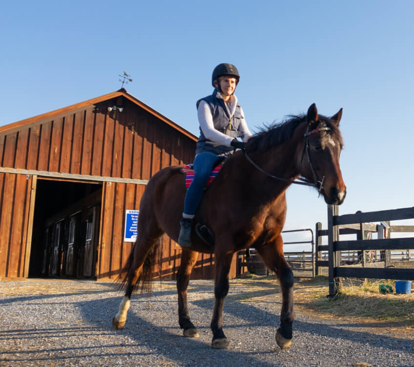 Horse Class Horse Riding Image