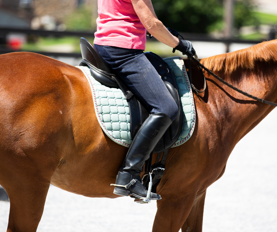 Horse Class Horse Riding Image