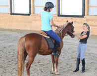Horseclass Image