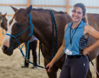 Horseclass Image