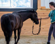 Horseclass Image