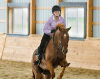 Horseclass Image