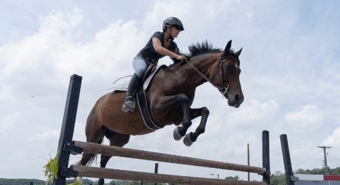 Effortless Rider Jumping Course