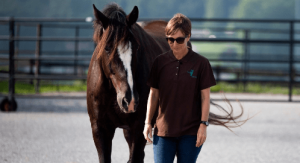 Horseclass Image
