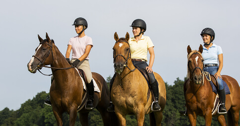 Horseclass Image