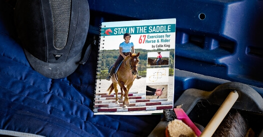 Horseclass Image