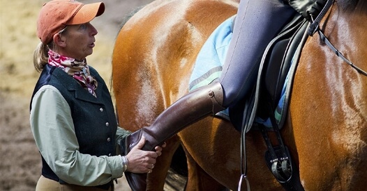 Horseclass Image