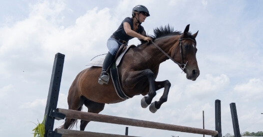 Horseclass Image