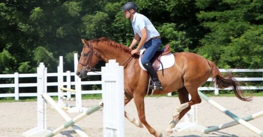Horseclass Image