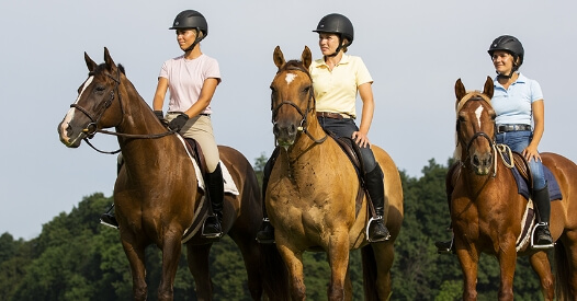 Horseclass Image