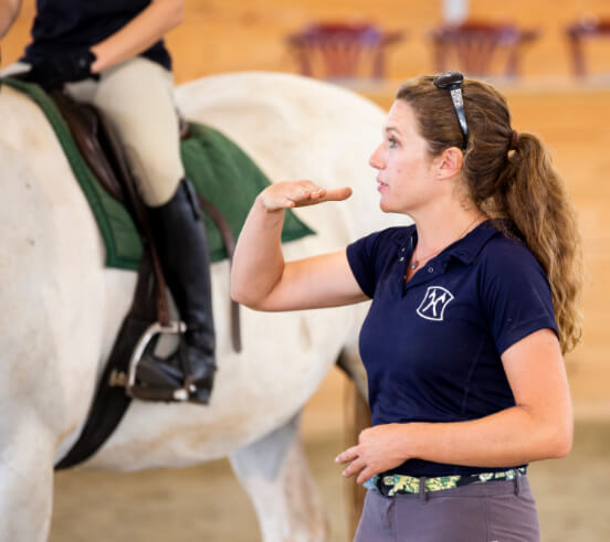 Horseclass Image