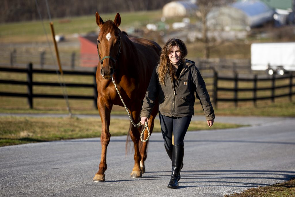 Horseclass Image