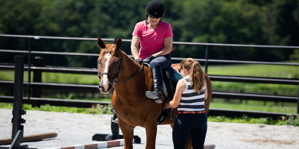 Horse Class Training Image