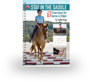 Horse Class Book Image
