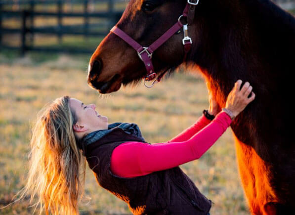 Horse Class Image