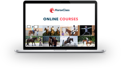 Horse Class Laptop Image