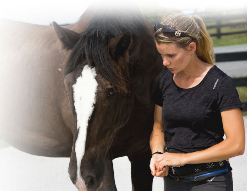 Horse Class Background Image