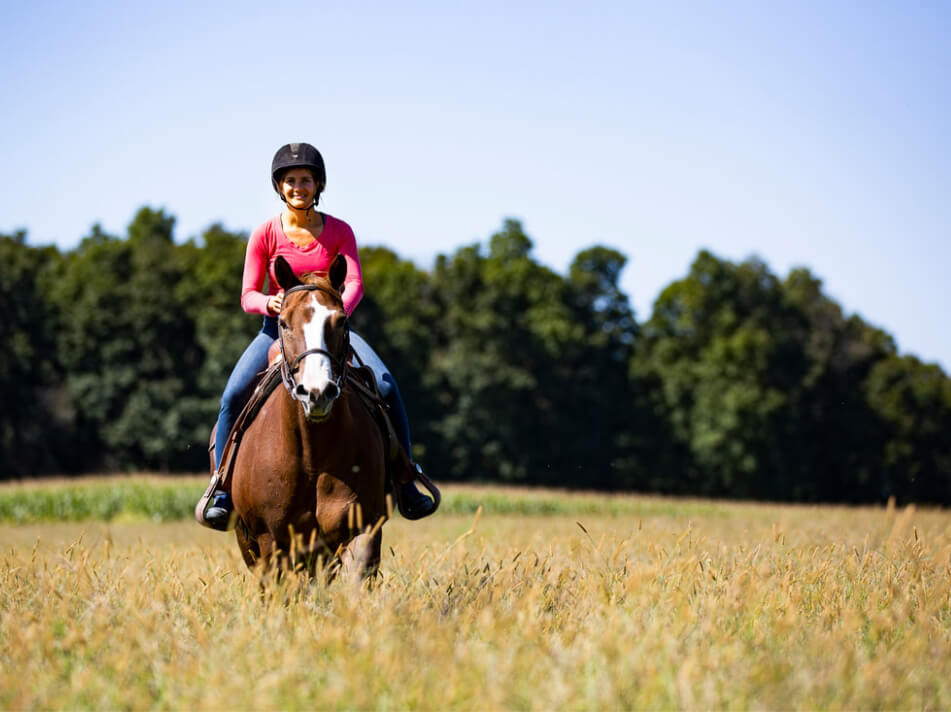Stay In The Saddle - HorseClass