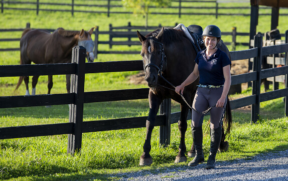 Honey Brooks Stables Image