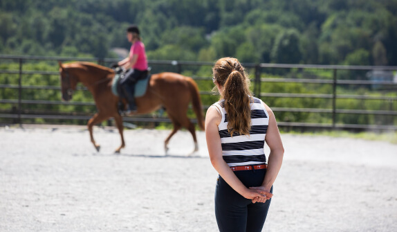 Horse Class Training Image