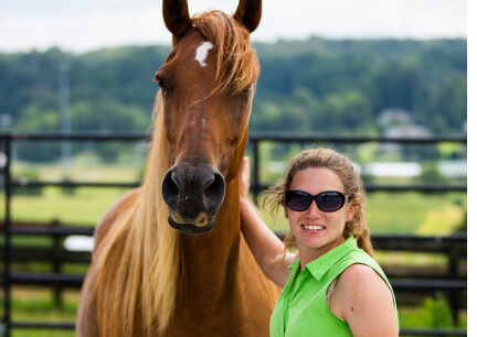 Horse Class Image