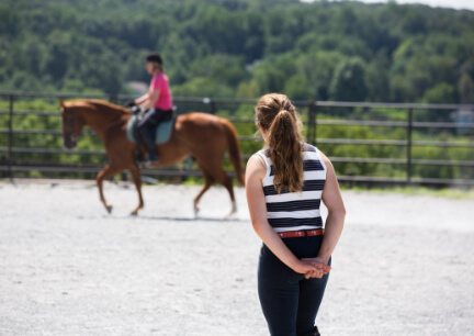 Horse Class Training Image