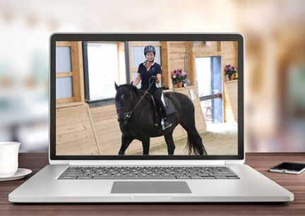 Horse Class Image