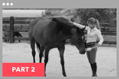 Horse Class Video Overlay Image