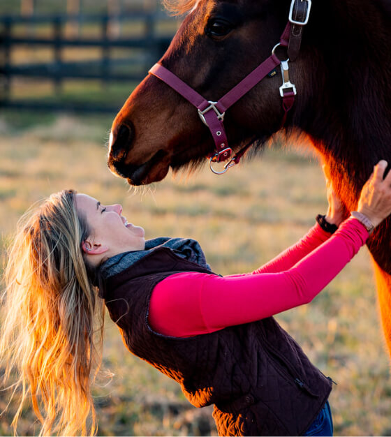 Stay In The Saddle - HorseClass