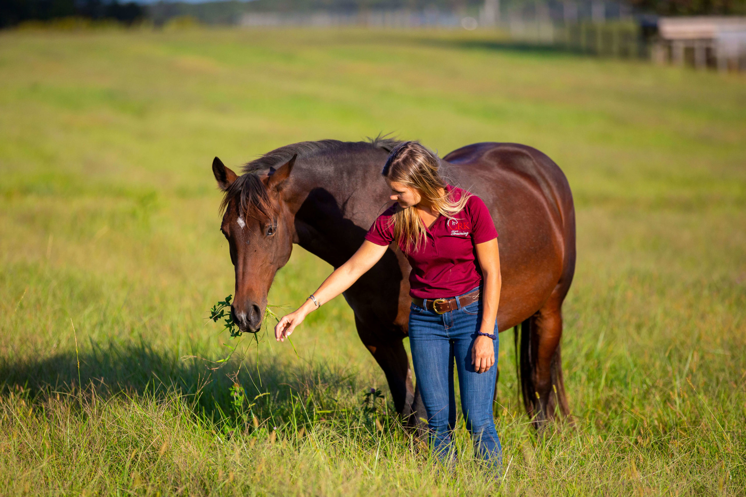 Category: Caring For Your Horse's Tail - MIDDLETON PLACE