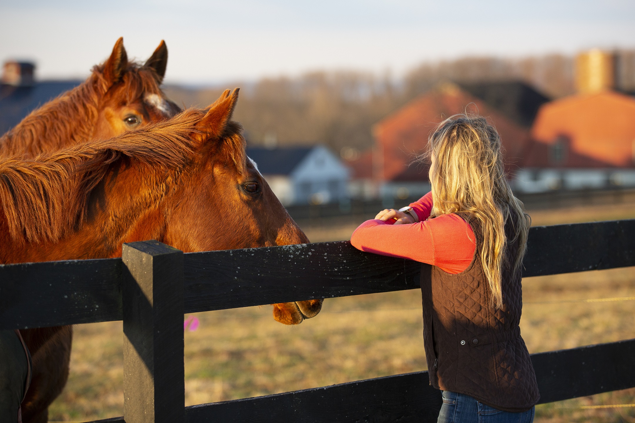 What Presence Taught Me About Perfection and Connecting with Horses