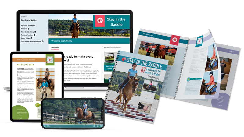 Stay in the Saddle Book + Video Program