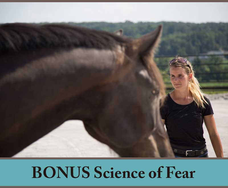 Science of Fear with Callie King