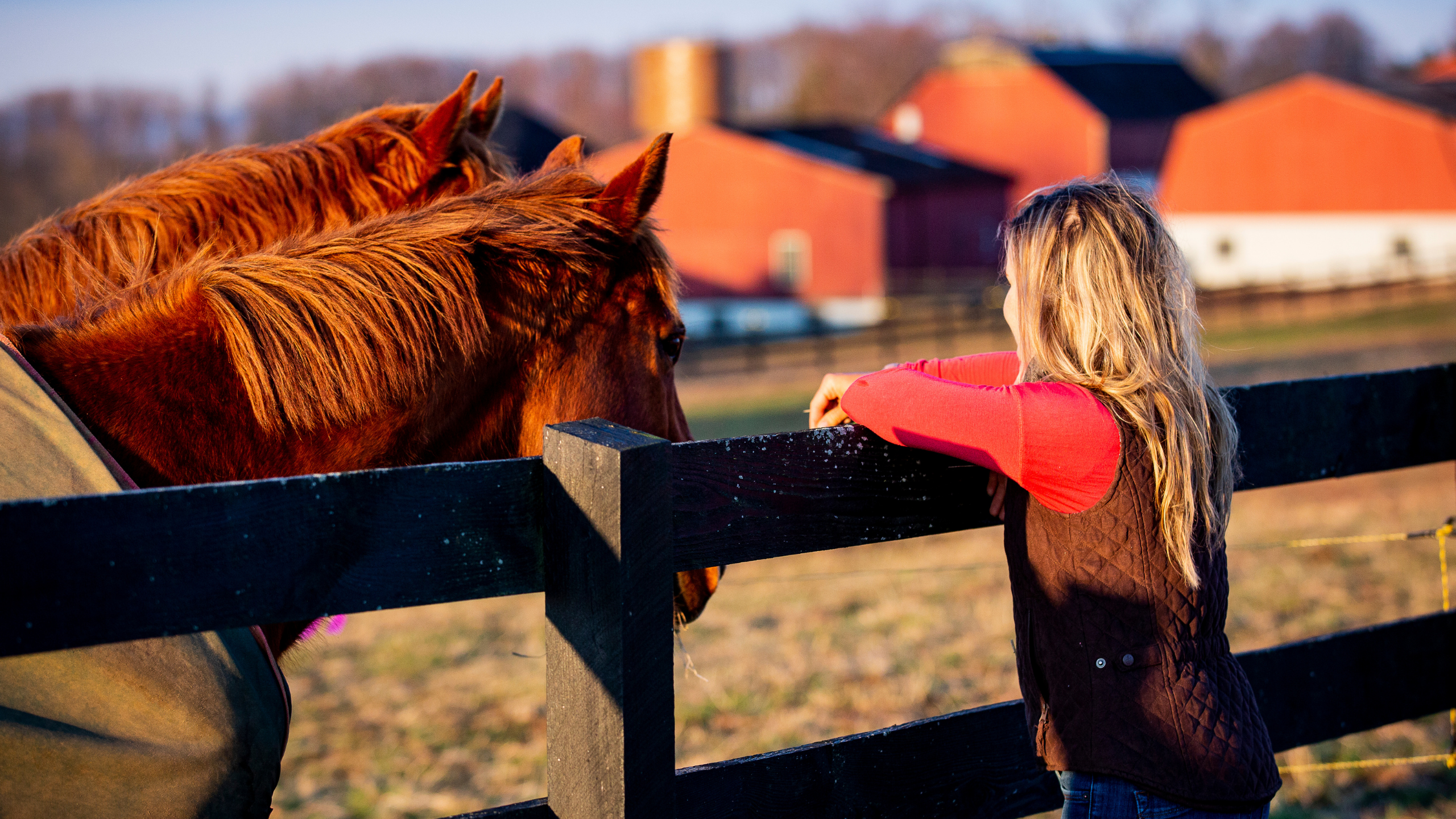 What Could You Learn by Observing Your Horse?