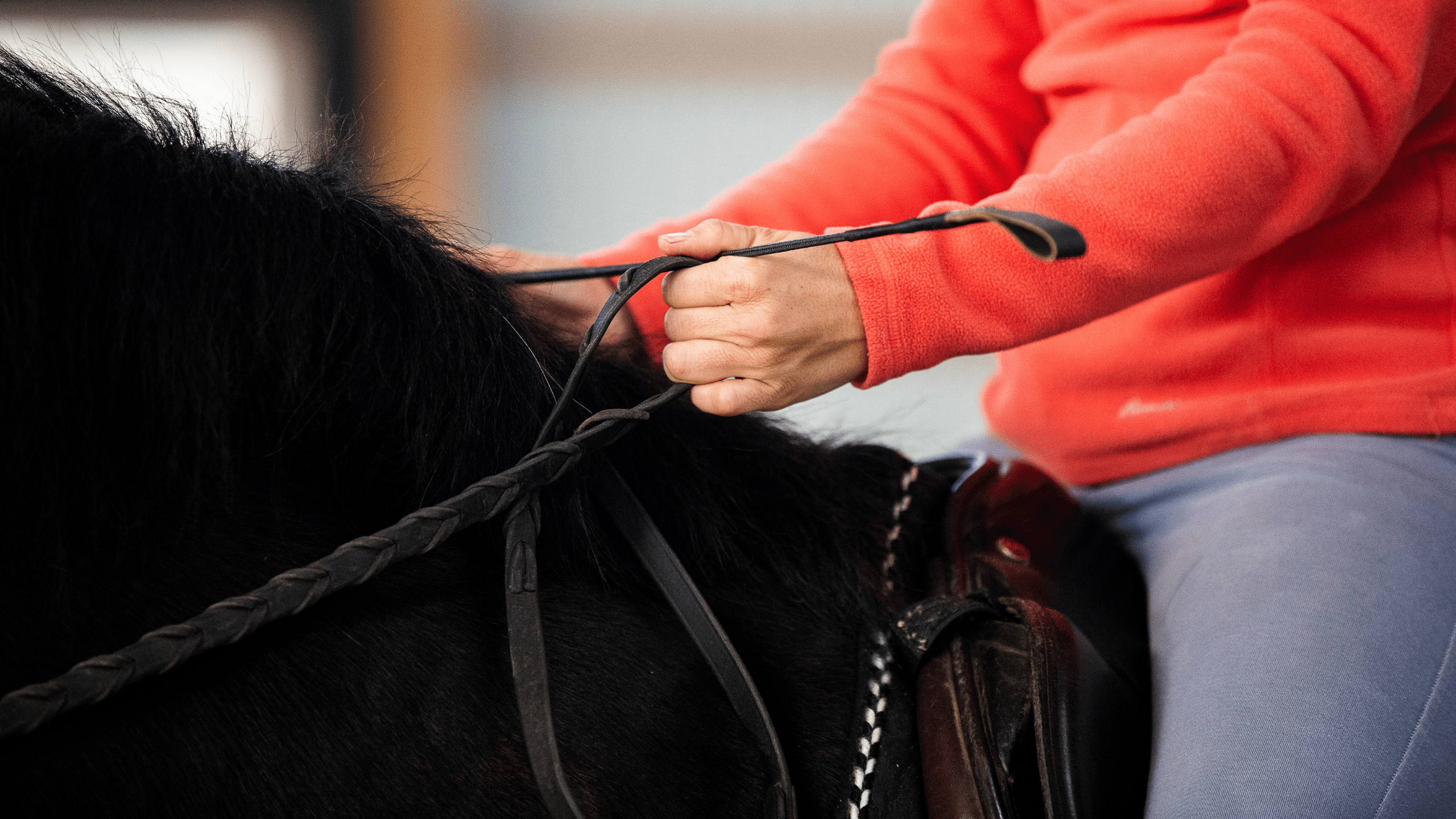 A Simple Exercise to Improve Steering While Riding (and prevent your horse from leaning in)