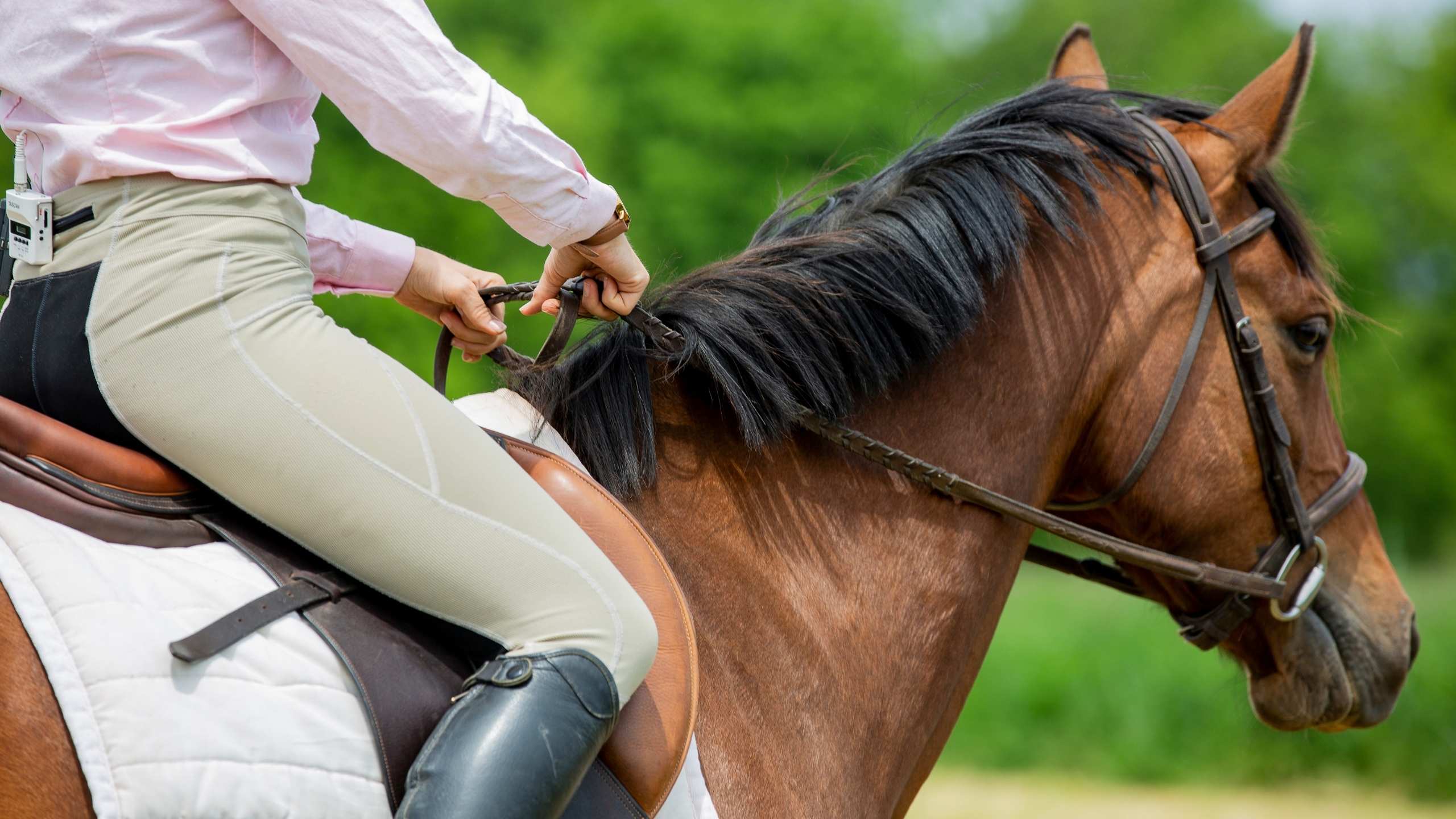 Are You a “Type-A” Rider? Here’s why less striving may help your riding