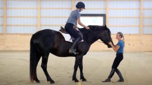 The Most Common Mistakes in Steering a Horse