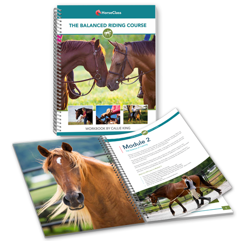 The Balanced Riding Course Workbook