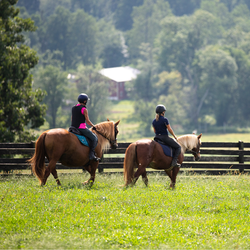 Peaceful trail ride