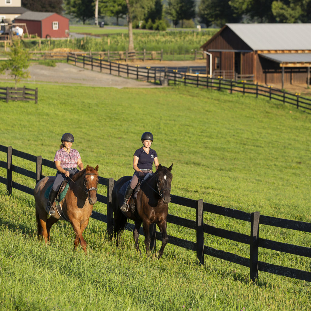 Riding at Honey Brook Stables