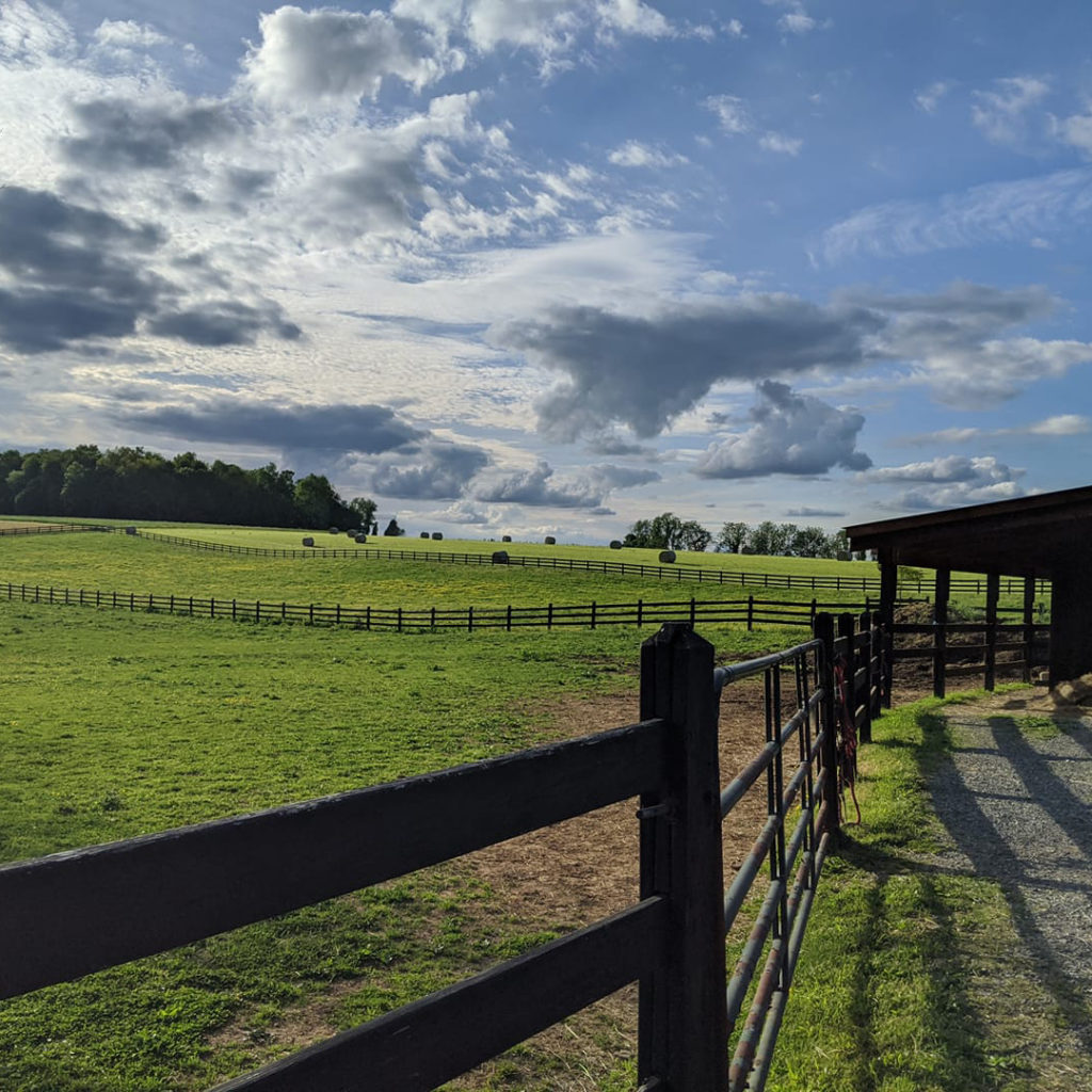 Honey Brook Stables fields