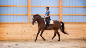 Canter Leads for a Comfortable and Balanced Canter