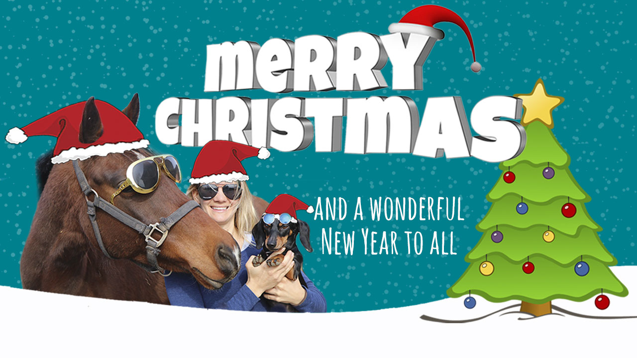 Merry Christmas from HorseClass