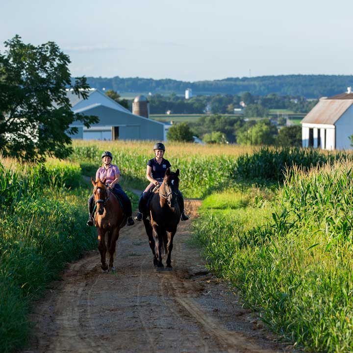 Trail Riding at Honey Brook Stables