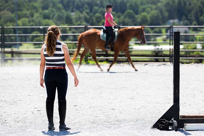 Working Student at Honey Brook Stables