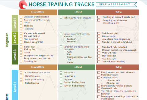 Horse Training Level Self Assessment